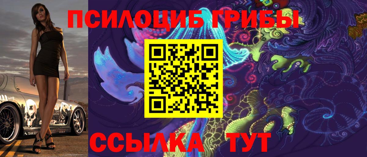 Галлюциногенные грибы Psilocybine cubensis  Вход с VPN  Урай 